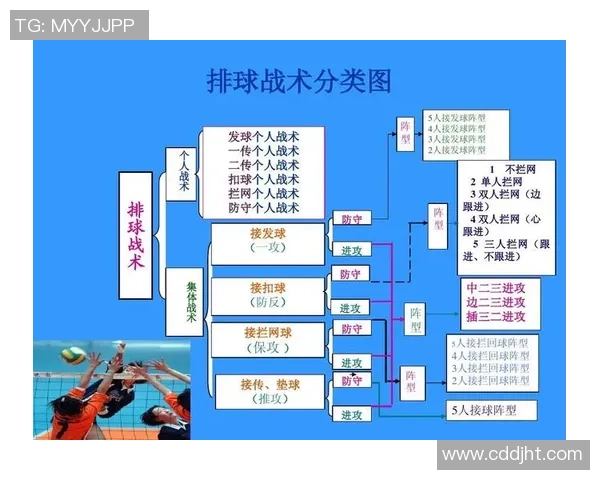 杭州排球队反击战术解析与深度剖析排球竞技的魅力与挑战
