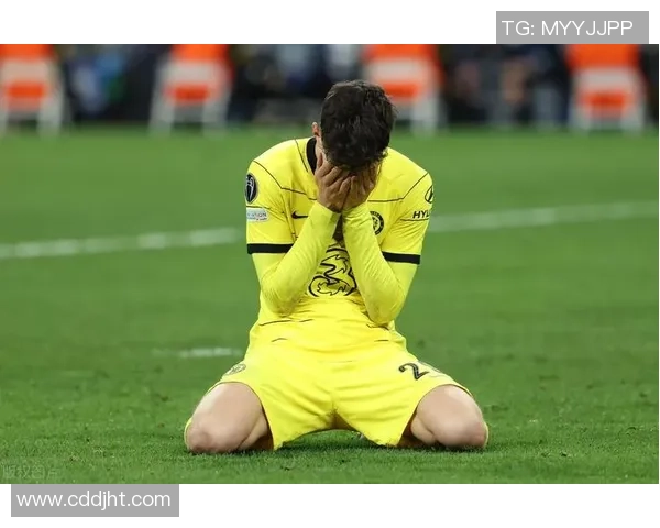 足球明星背后的故事与失落瞬间揭示了光鲜外表下的真实人生