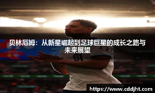 emc易倍