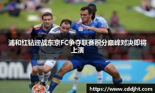 emc易倍