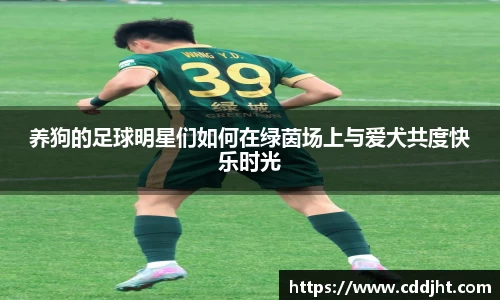 易倍体育